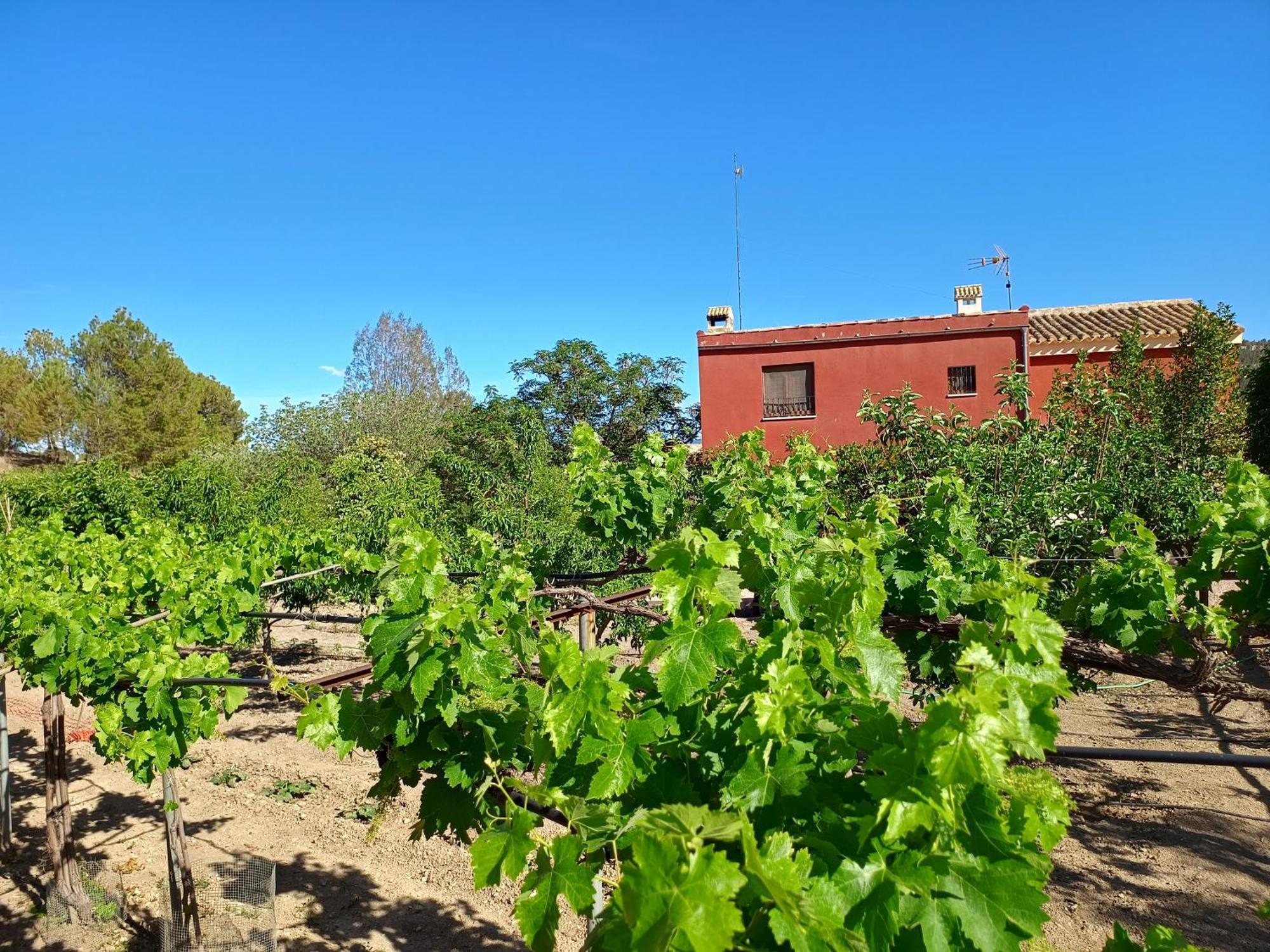 Casa Rural La Escuela Caravaca การาวากา เดลา กรูซ ภายนอก รูปภาพ